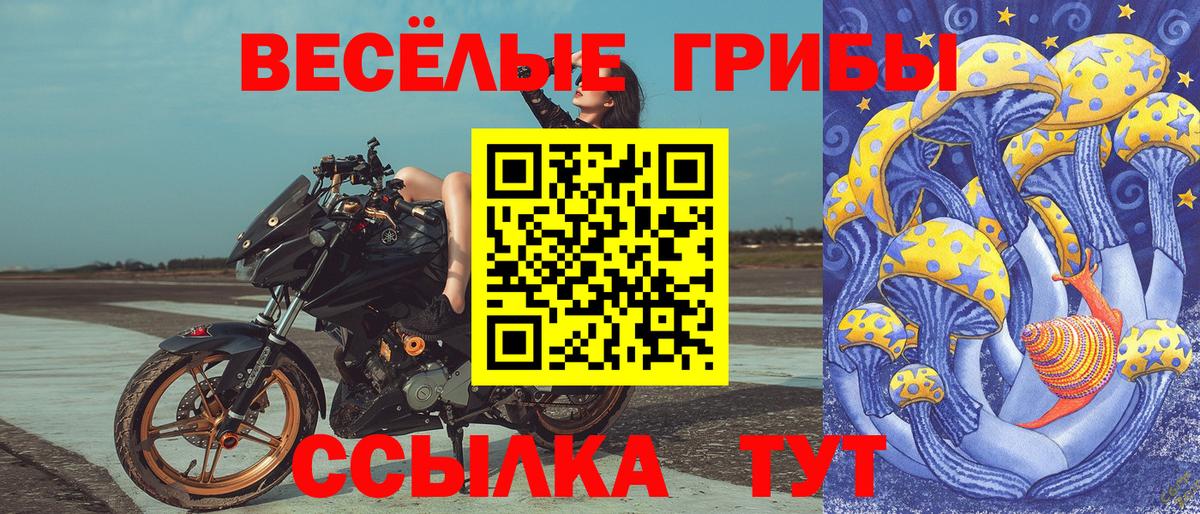 Менделеевск  Псилоцибиновые грибы Psilocybe  Вход с VPN  Псилоцибиновые грибы Psilocybine cubensis 